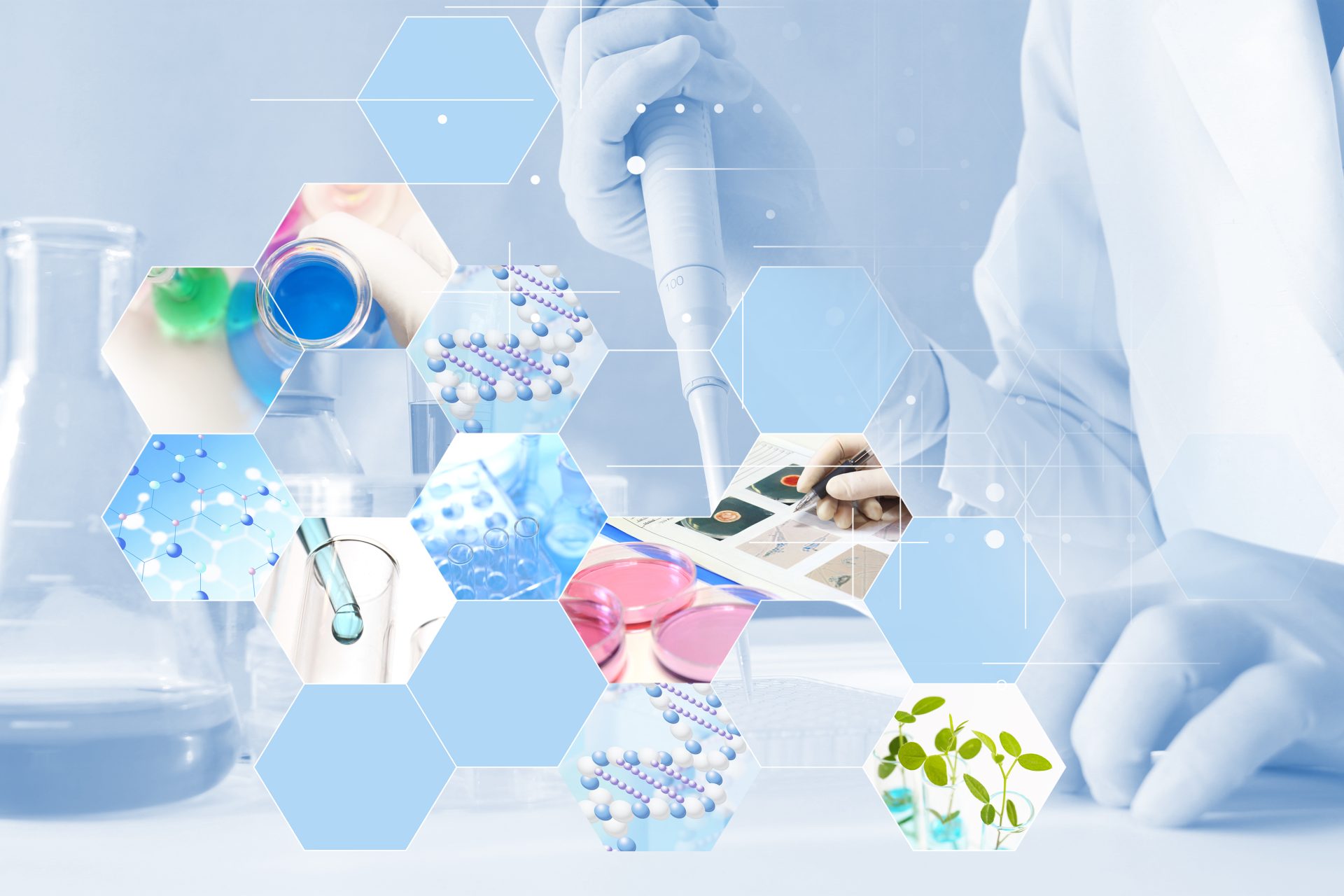 Research Projects of Our Members